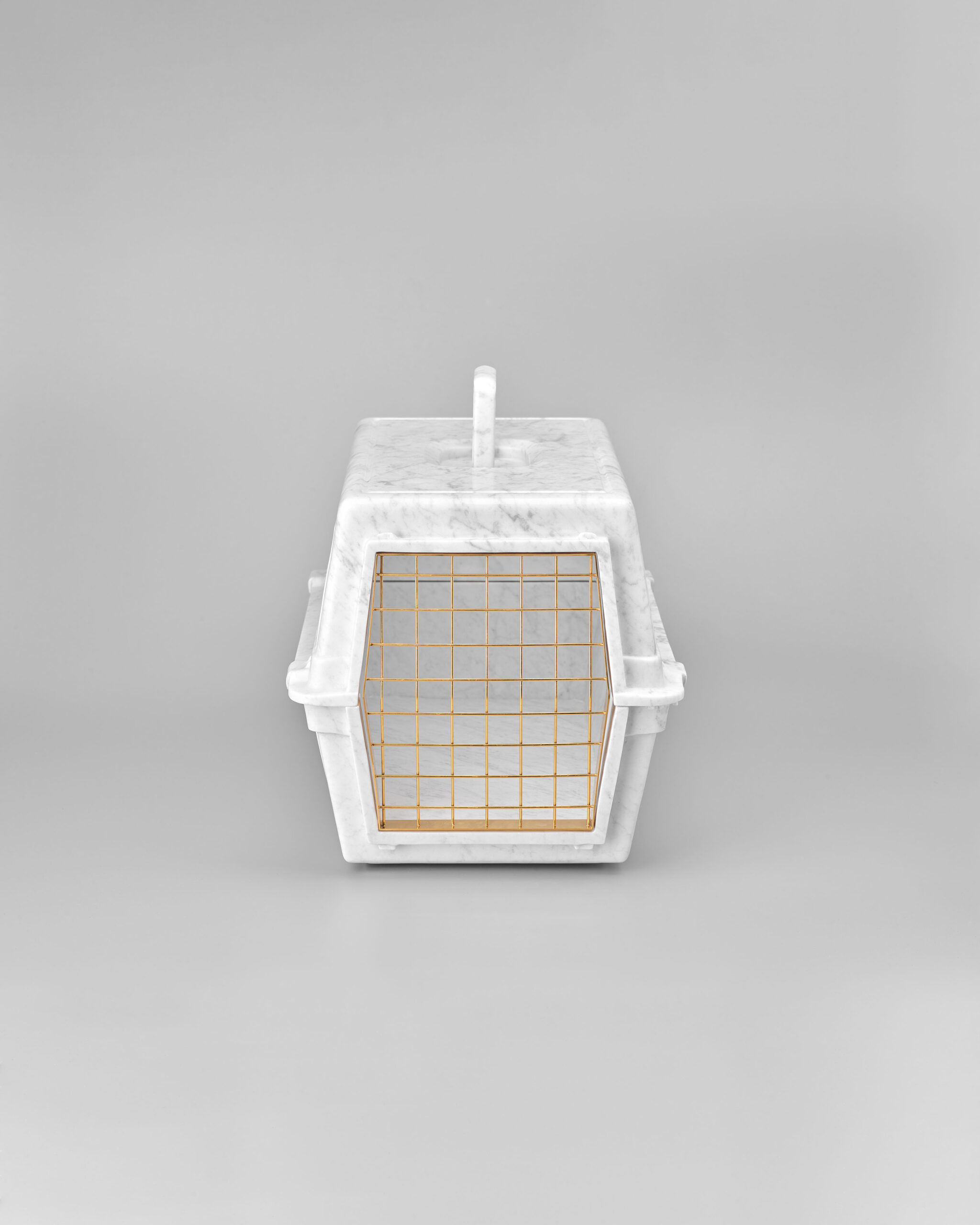 Pet Carrier